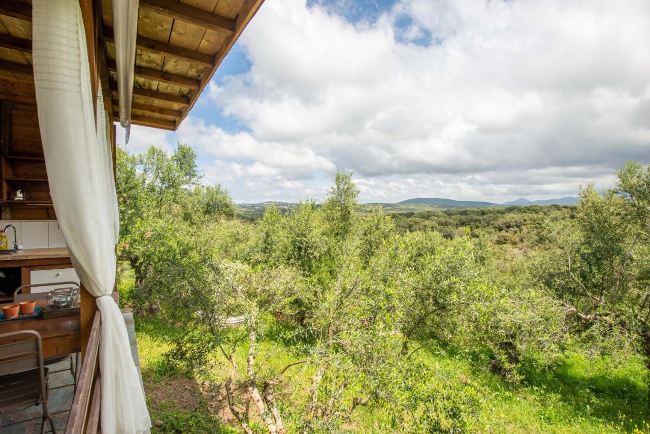 Hakuna Matata Holidays Wooden Lodge With Airco & Pool In Greek Olive Grove Methoni  Luaran gambar