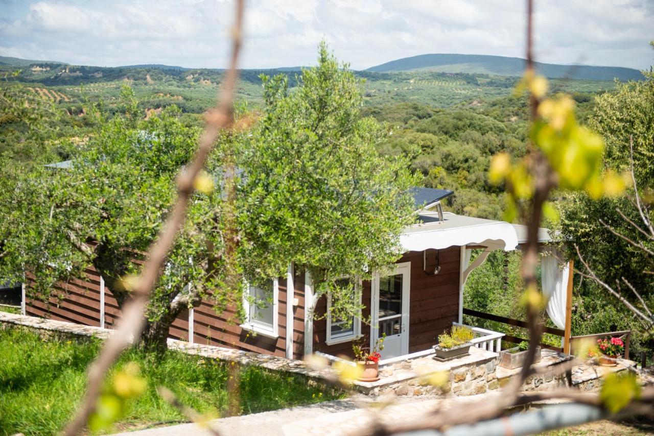 Hakuna Matata Holidays Wooden Lodge With Airco & Pool In Greek Olive Grove Methoni  Luaran gambar
