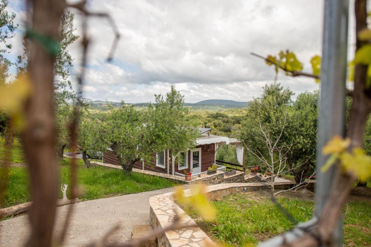Hakuna Matata Holidays Wooden Lodge With Airco & Pool In Greek Olive Grove Methoni  Luaran gambar