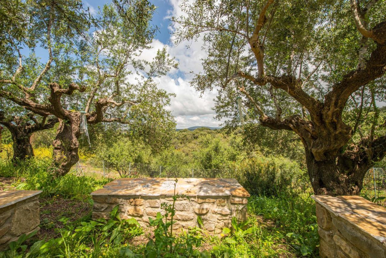 Hakuna Matata Holidays Wooden Lodge With Airco & Pool In Greek Olive Grove Methoni  Luaran gambar