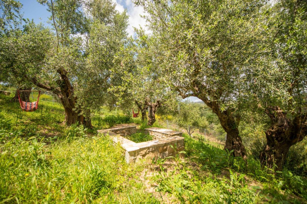 Hakuna Matata Holidays Wooden Lodge With Airco & Pool In Greek Olive Grove Methoni  Luaran gambar