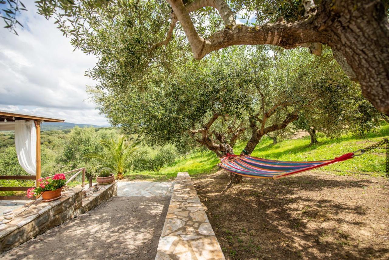 Hakuna Matata Holidays Wooden Lodge With Airco & Pool In Greek Olive Grove Methoni  Luaran gambar