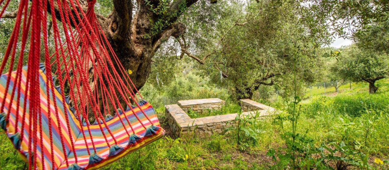 Hakuna Matata Holidays Wooden Lodge With Airco & Pool In Greek Olive Grove Methoni  Luaran gambar