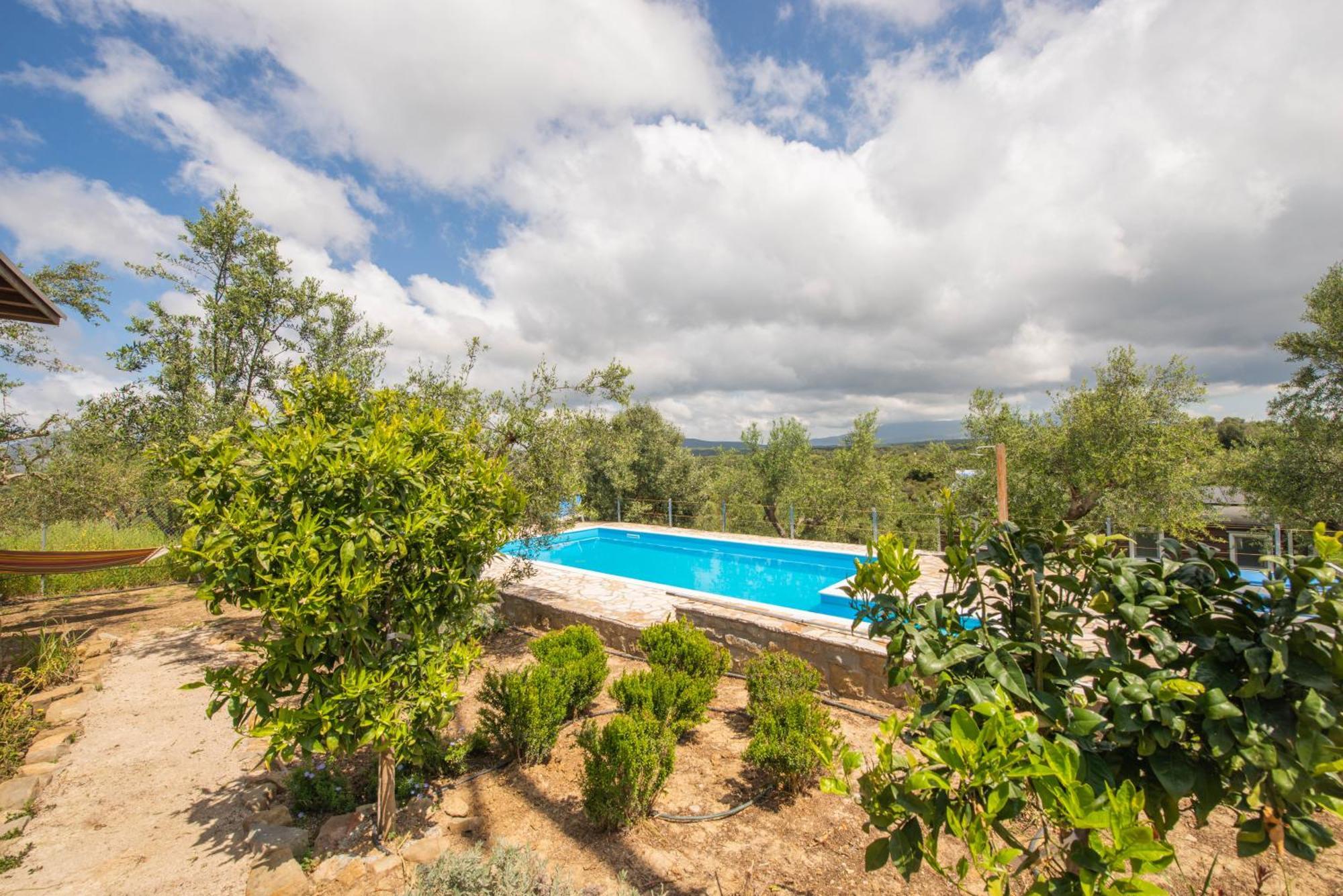 Hakuna Matata Holidays Wooden Lodge With Airco & Pool In Greek Olive Grove Methoni  Luaran gambar